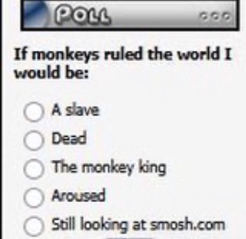 If monkeys ruled the world I would be: А Зам Aroused looking at smosh.com