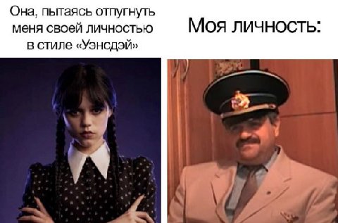 Она, пытаясь отпугнуть меня своей личностью Моя личность: в стиле «Уэнсдэй»