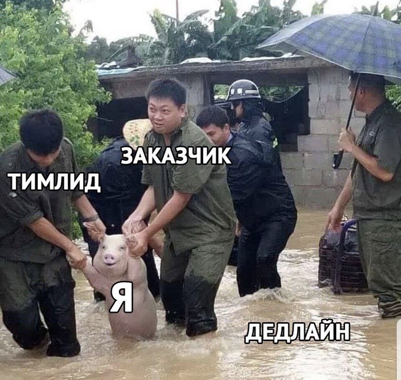 ЗАКАЗЧИК ТИМЛИД 1
