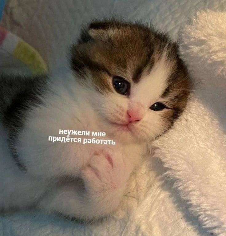 неужели мне придётся работать i