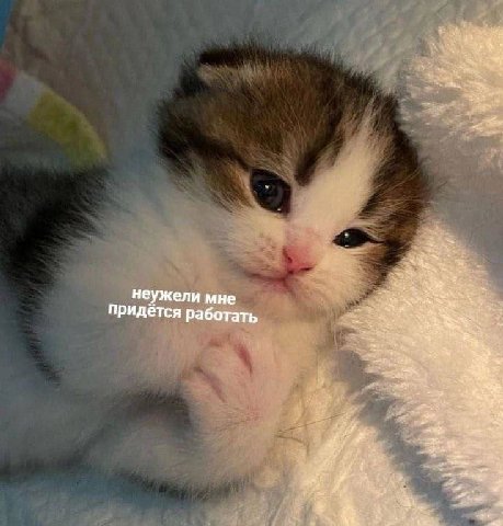 неужели мне придётся работать i
