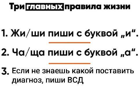 правила жизни 1. Жи/ши пиши с буквой „и“. 2. Ча/ща пиши с буквой „а“. 3. Если не знаешь какой поставить диагноз, пиши ВСД