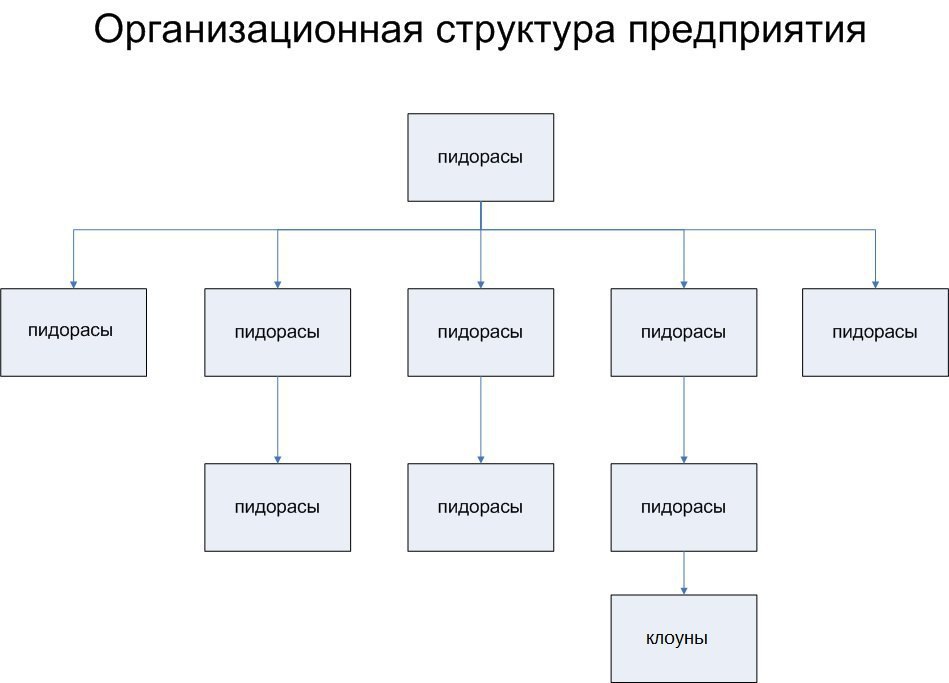 Организационная структура предприятия