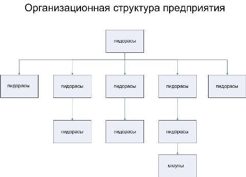 Организационная структура предприятия