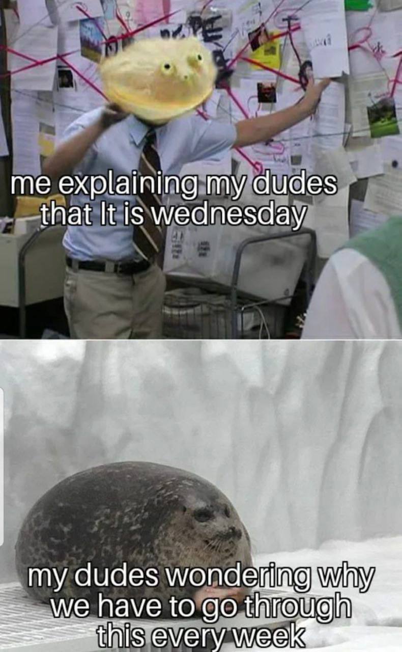 me explaining my dudes that It is wednesday my dudes have to
