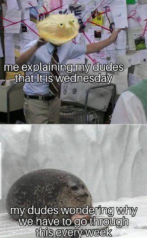 me explaining my dudes that It is wednesday my dudes have to