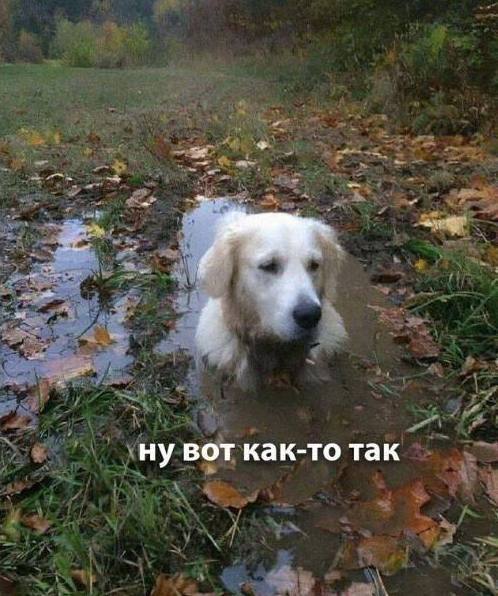 ну вот как-то так