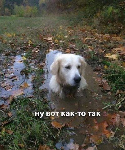 ну вот как-то так