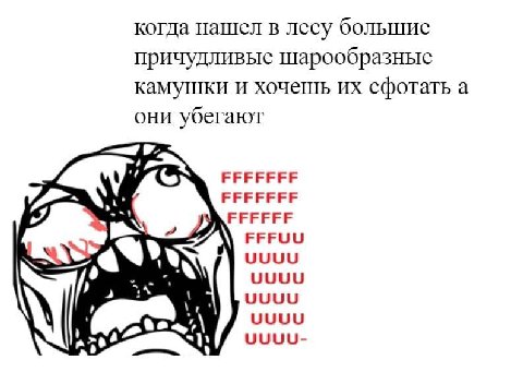 когда нашел в лесу большие причудливые шарообразные камушки и хочешь сфотать а они убегают ЕЕЕЕЕЕЕ FFFFFF FFFUU UUUU UUUU “A UUUU UUUU UUUU-