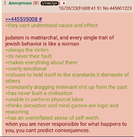 Anonymous 10/20/23(Fri)08:41:51 No.445601223 >>445595008 >they cant understand cause and effect judaism is matriarchal, and every single trait of jewish behavior is like a woman >always the victim >it