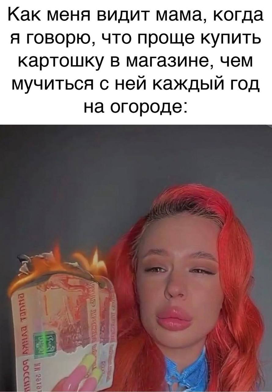 Как меня видит мама, когда я говорю, что проще купить картошку в магазине, чем мучиться с ней каждый год на огороде: