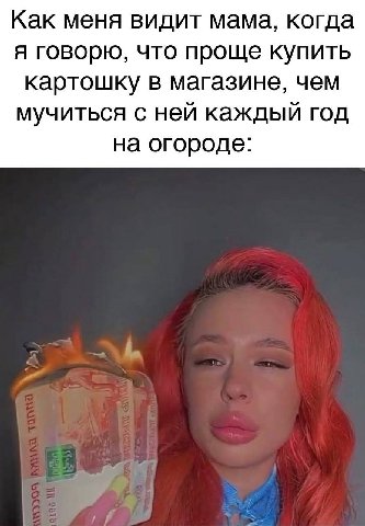 Как меня видит мама, когда я говорю, что проще купить картошку в магазине, чем мучиться с ней каждый год на огороде: