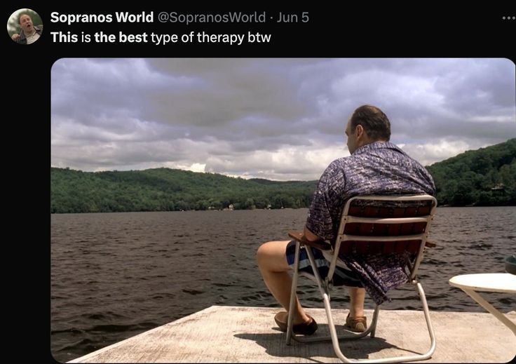 Sopranos World This is the best type of therapy btw У