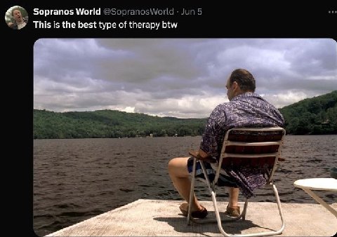 Sopranos World This is the best type of therapy btw У