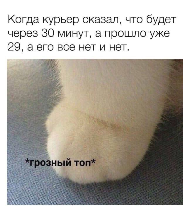 Когда курьер сказал, что будет через 30 минут, а прошло уже 29, аего все нет и нет. #3