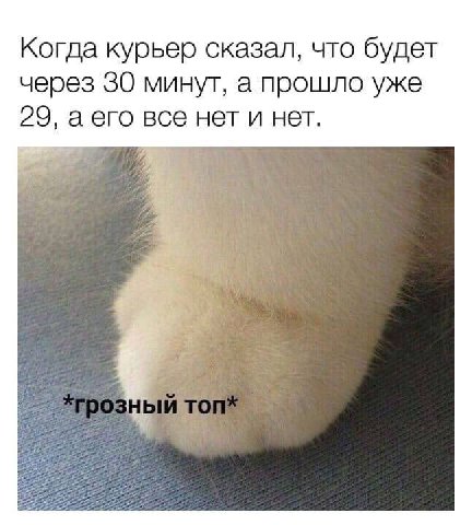 Когда курьер сказал, что будет через 30 минут, а прошло уже 29, аего все нет и нет. #3
