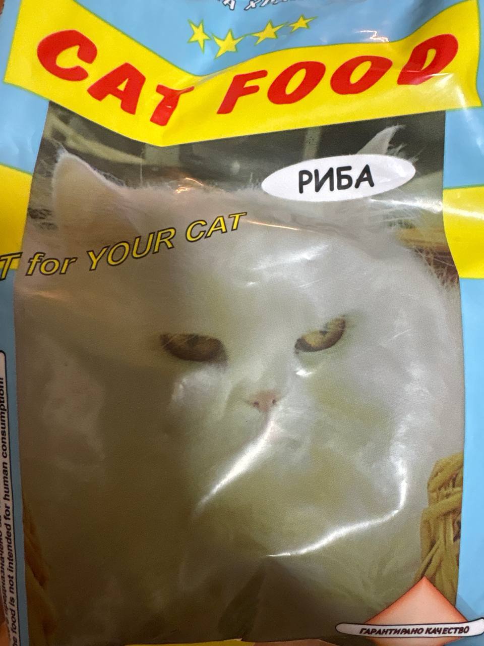 at РИБА youl КАЧЕСТВО