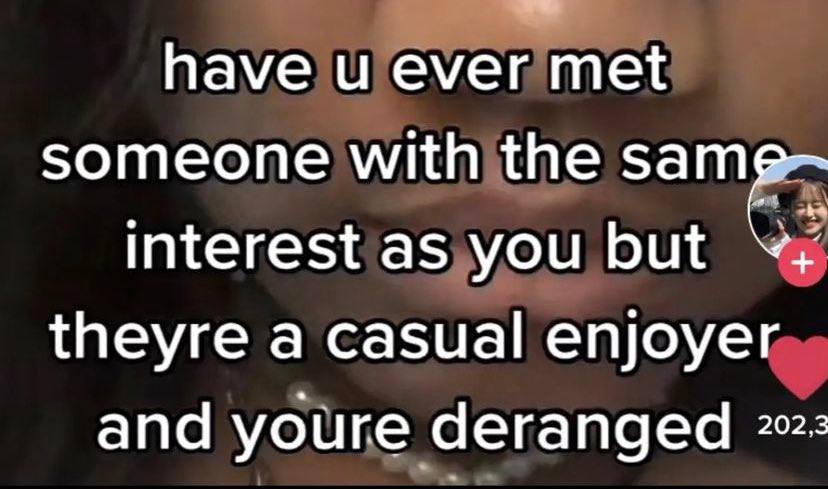 have и ever met someone with the sam interest as you but theyre a casual enjoyer and youre deranged 2: