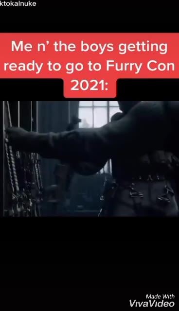 ready to to Furry Con