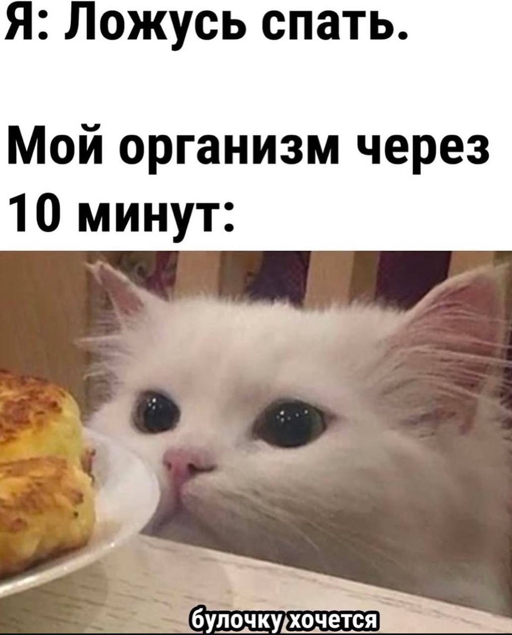 Я: Ложусь спать. Мой организм через 10 минут: