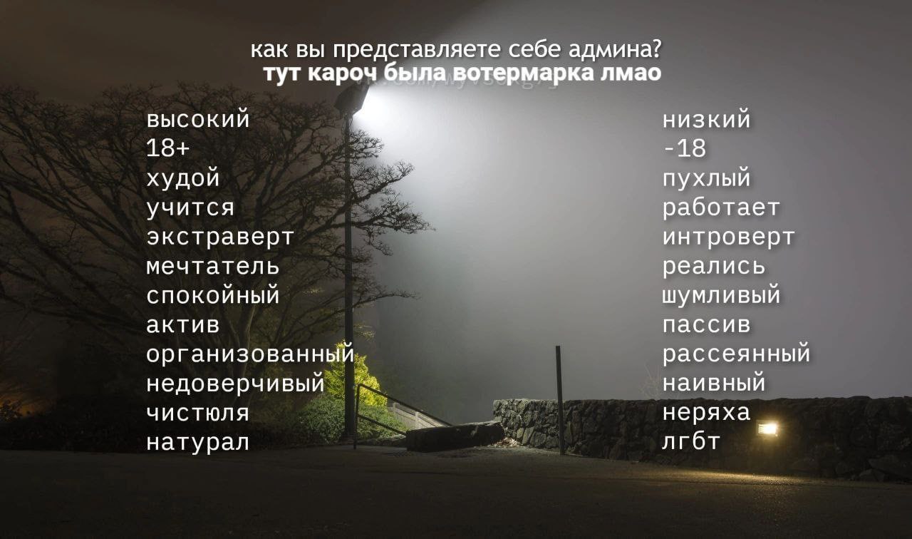 как вы представляете себе админа? тут кароч была вотермарка лмао ВЫСОКИЙ НИЗКИЙ 18+ -18 худой пухлый учится работает экстраверт интроверт мечтатель реались СПОКОЙНЫЙ шумливый актив пассив организованн