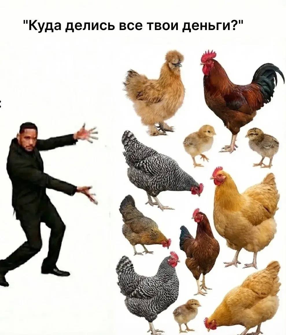 "Куда делись все твои деньги?"