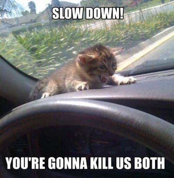 YOU'RE GONNA KILL BOTH
