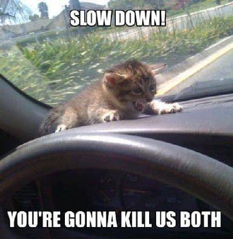 YOU'RE GONNA KILL BOTH