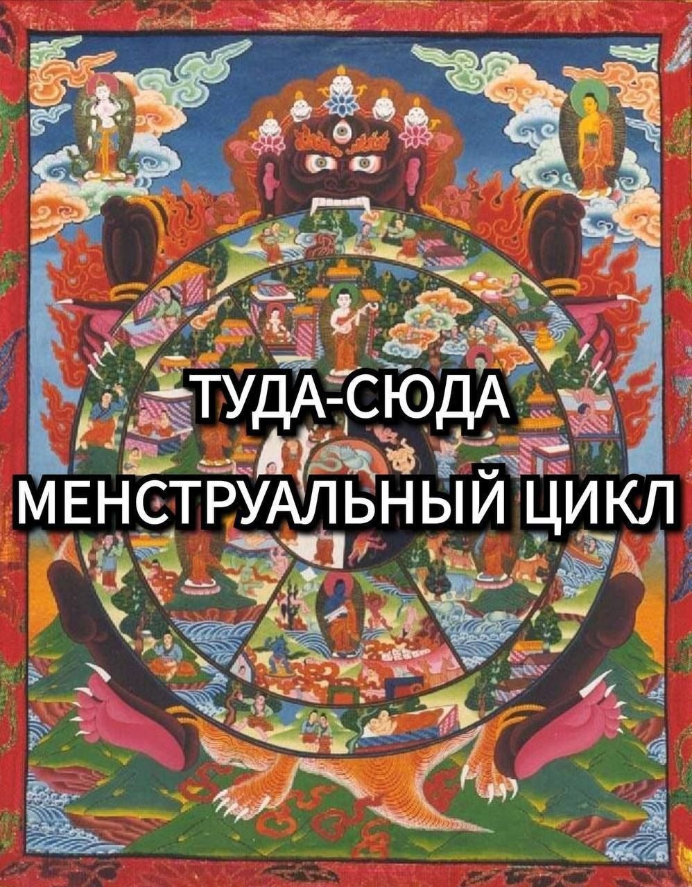 a we a ТУДА-СЮДА МЕНСТРУАЛЬНЫЙ ЦИКЛ 1