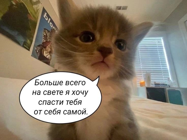 Больше всего на свете я хочу спасти тебя от себя самой.