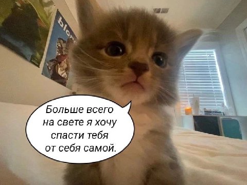 Больше всего на свете я хочу спасти тебя от себя самой.