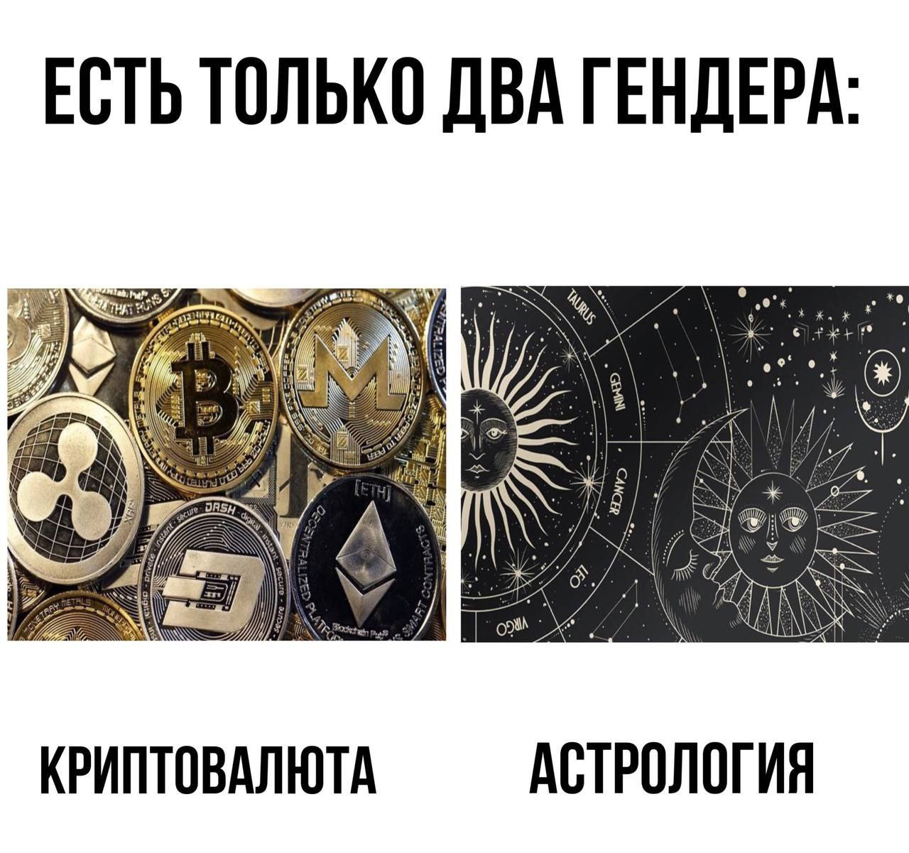 ЕСТЬ ТОЛЬКО ДВА ГЕНДЕРА: 4 i 4 О DASH A ont КРИПТОВАЛЮТА АСТРОЛОГИЯ