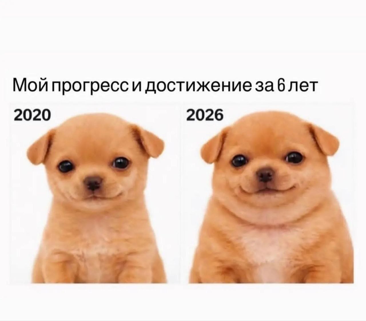 Мой достижениезаблет 2020 2026