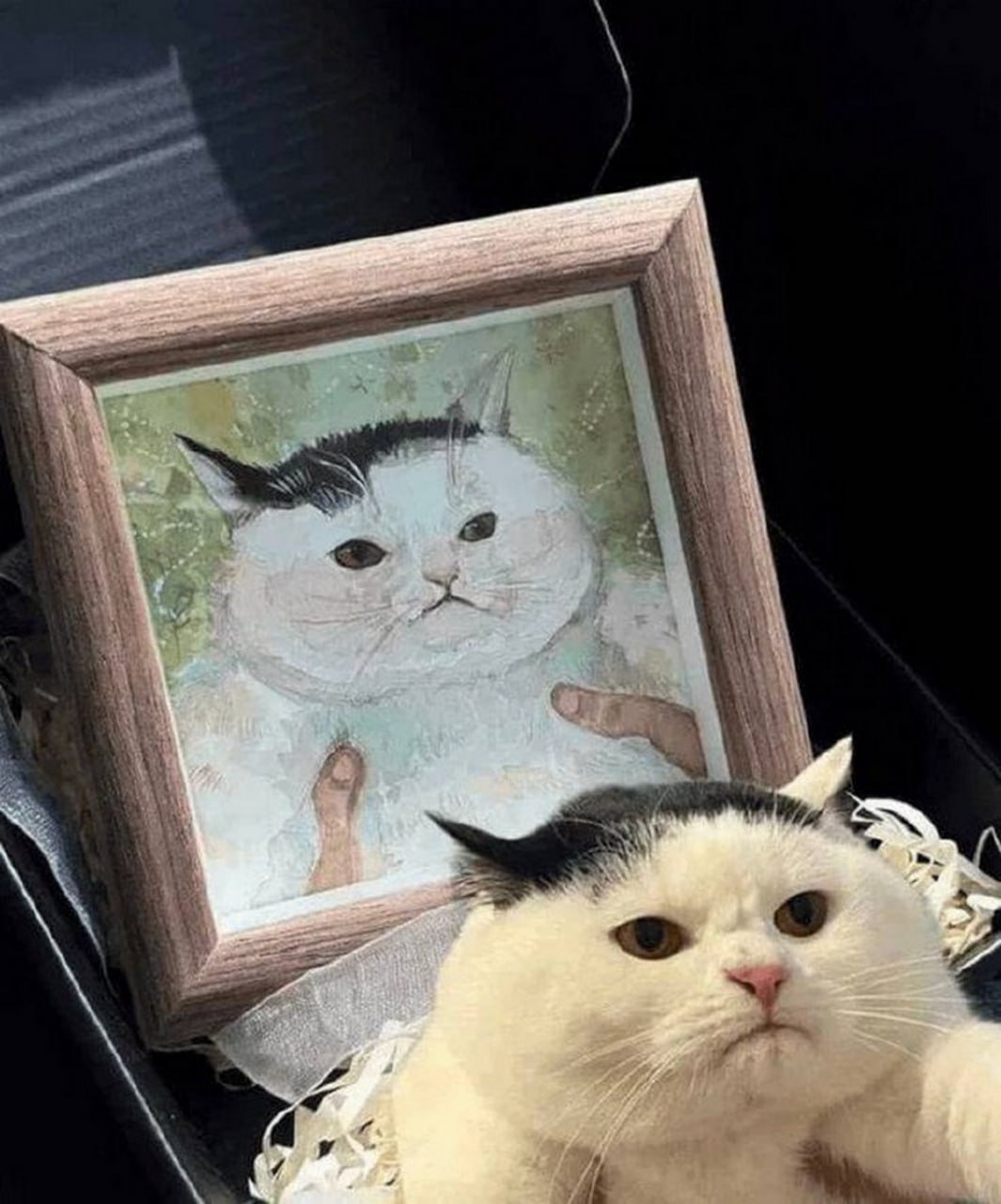 79