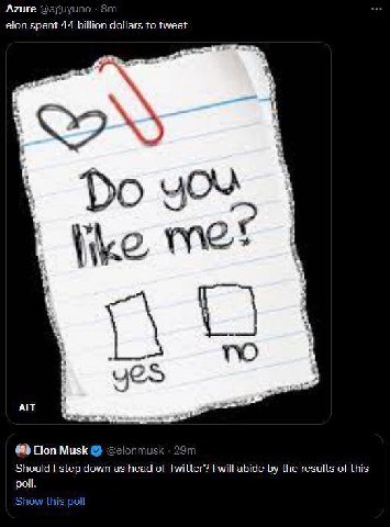 Azure @aguyuno elon spent 44 billion dollars to tweet у 4 i В. у ALT Elon Musk @elonmusk Should step down as head of Twitter? will abide the results of this poll.