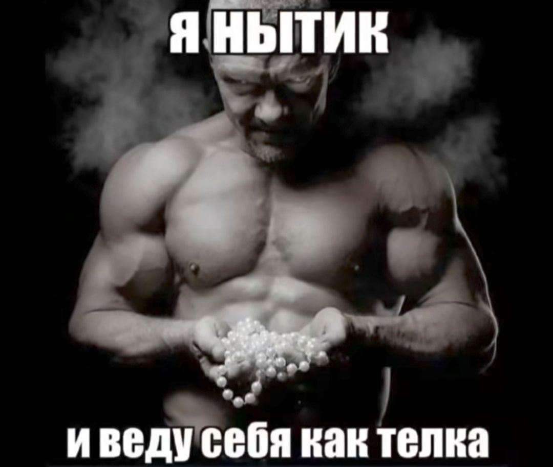 МЕМЫ ОТ БИМО
