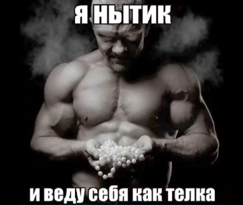 МЕМЫ ОТ БИМО