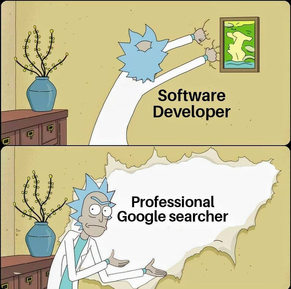 is Software Developer Professional Google searcher