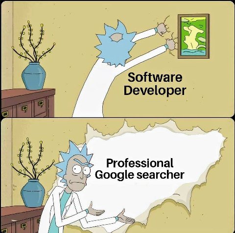 is Software Developer Professional Google searcher