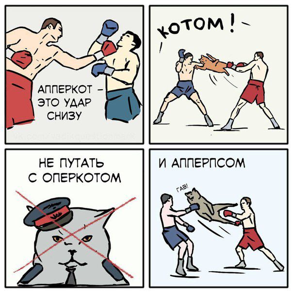 хот АППЕРКОТ ЭТО УДАР СНИЗУ НЕ ПУТАТЬ И АППЕРПСОМ С ОПЕРКОТОМ