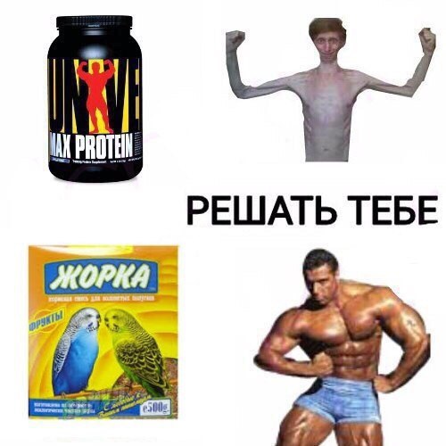 INK PROTEIN РЕШАТЬ TEBE MOPKA