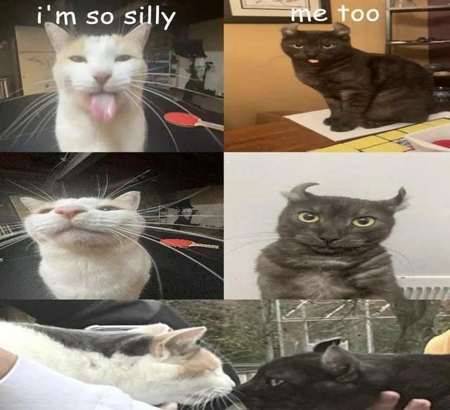50 too a a а