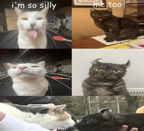 50 too a a а
