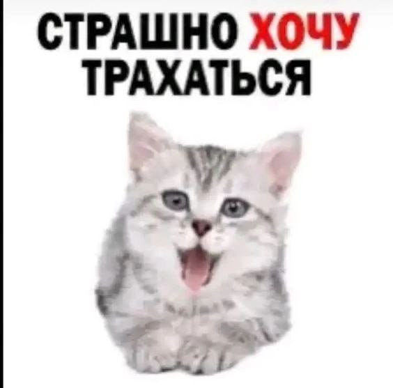 СТРАШНО ХОЧУ ТРАХАТЬСЯ