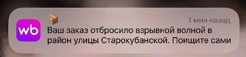 1 мин назад Ваш заказ отбросило взрывной волной в район улицы Старокубанской. Поищите сами