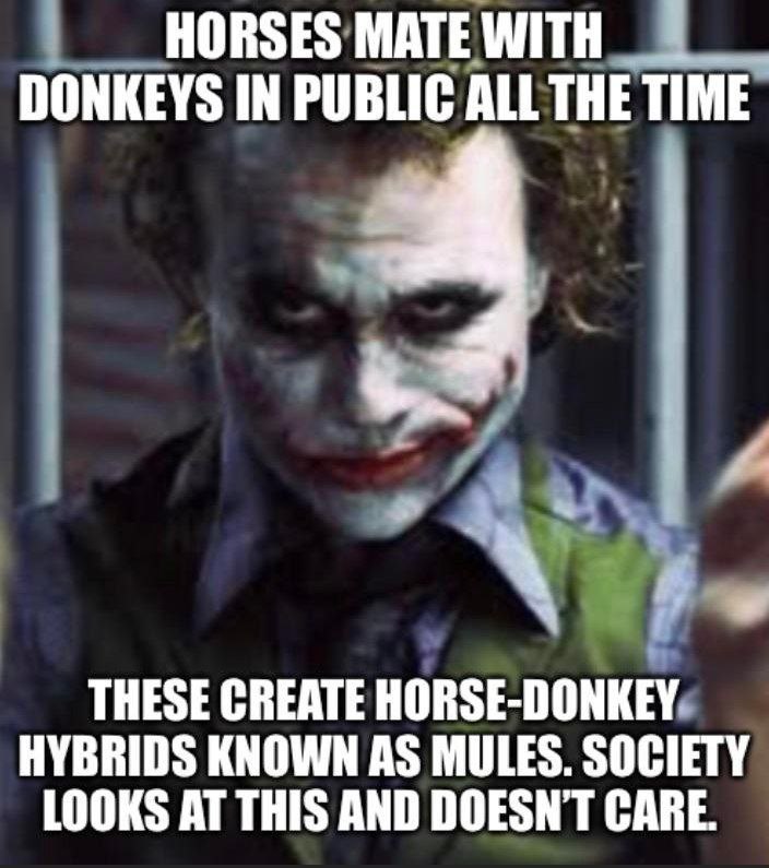 HORSES МАТЕМИТН DONKEYS IN PUBLIC ALL THE TIME THESE CREATE HORSE-DONKEY. HYBRIDS KNOWN AS MULES. SOCIETY LOOKS AT THIS AND DOESN'T CARE.