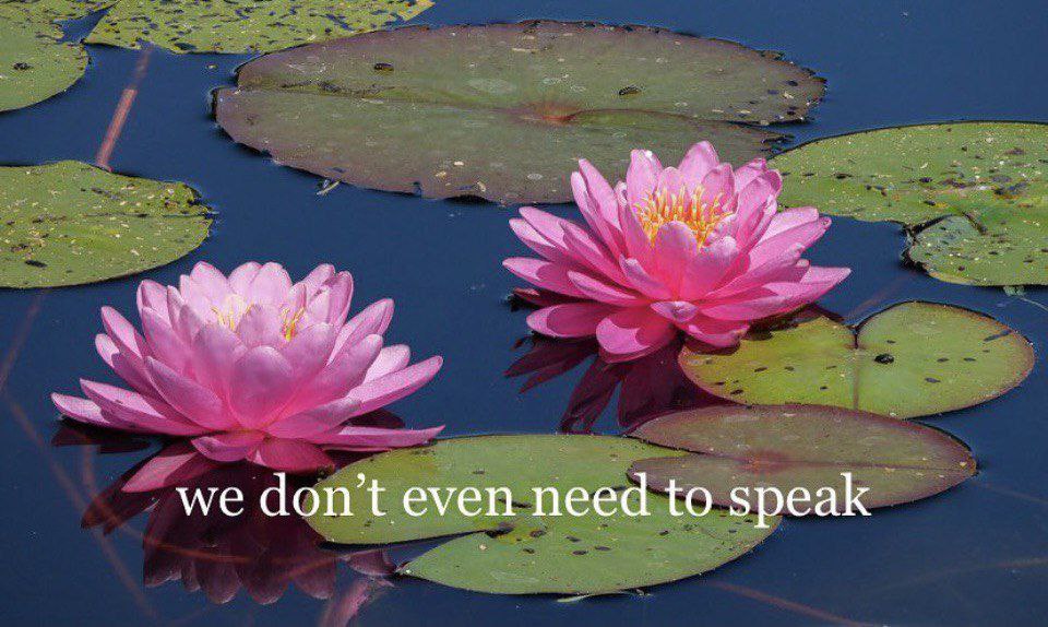 we don even need to speak