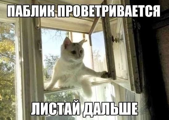 _ПАБЛИК ПРОВЕТРИВАЕТСЯ у ДАЛЬШЕ