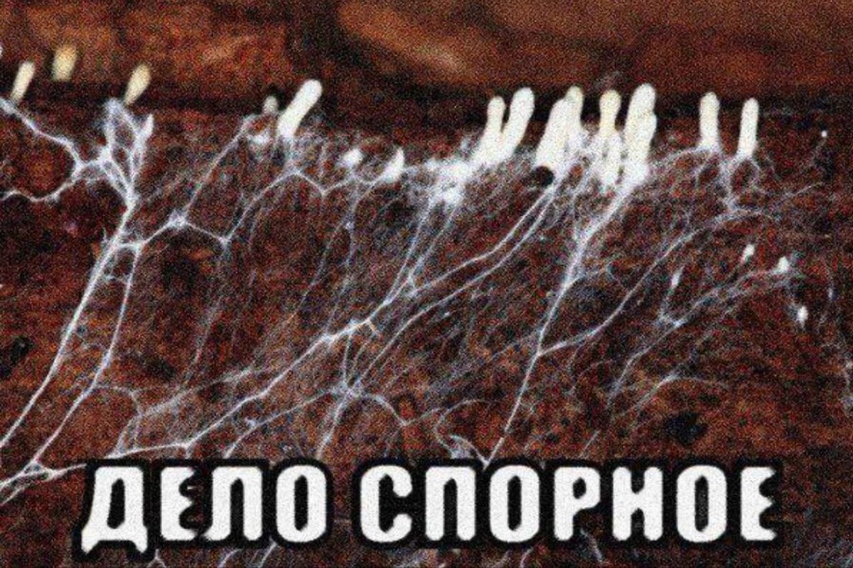 11 ДЕЛО СПОРНОЕ