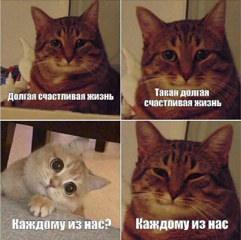 Долгая счастливая жизнь Такая долгая счастливая жизнь Каждому из нас? Каждому из нас